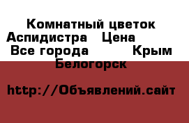 Комнатный цветок Аспидистра › Цена ­ 150 - Все города  »    . Крым,Белогорск